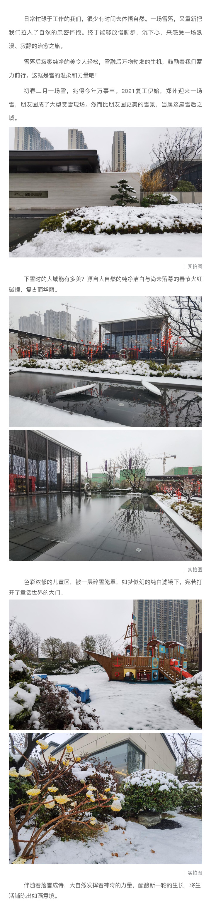 2021浪漫开年，共赏一场鹅毛大雪！
